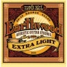 ERNIE BALL 2006