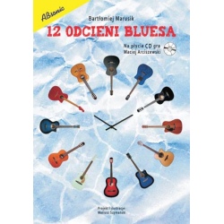 ABSONIC. 12 ODCIENI BLUESA...