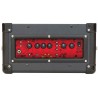 BLACKSTAR ID:CORE 10 V2 SUGAR SKULL 2