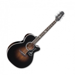TAKAMINE EF450CTTTBB -...