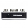 FISHMAN AURA SPECTRUM DI