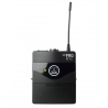 AKG WMS-40 MINI 2 DUAL INSTRUMENTAL SET