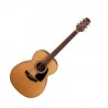 TAKAMINE GN10NS