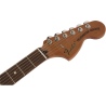 FENDER TROUBLEMAKER TELECASTER RW AWT MADE IN JAPAN