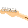 FENDER RARITIES FLAME KOA TOP STRATOCASTER MN NAT