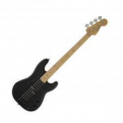 FENDER ROGER WATERS...