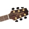 TAKAMINE GN93 NAT