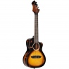 ORTEGA DSSUITE-UKE UKULELE KONCERTOWE