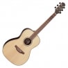 TAKAMINE GY93 NAT