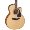 TAKAMINE GN15CE NAT