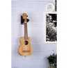 ORTEGA OUH-1WR  - UCHWYT ŚCIENNY NA UKULELE