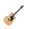 IBANEZ AAD300CE-LGS