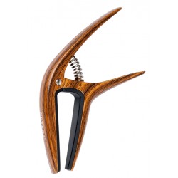 ORTEGA TWCAPO-WND...