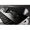 KORG PaAS - system nagłośnieniowy dla Pa4X