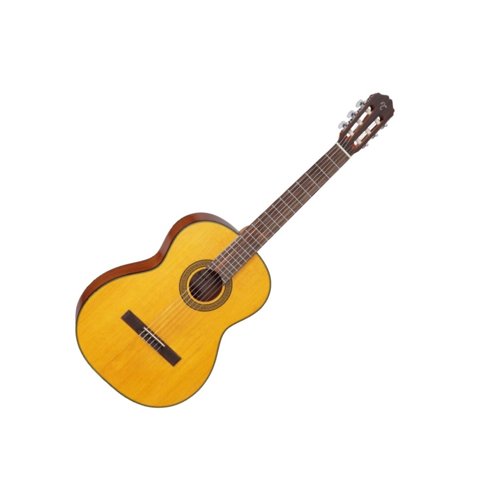 TAKAMINE GC3-NAT