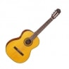 TAKAMINE GC3-NAT