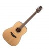 TAKAMINE GD20-NS GITARA AKUSTYCZNA ZESTAW Z AKCESORIAMI PTD1