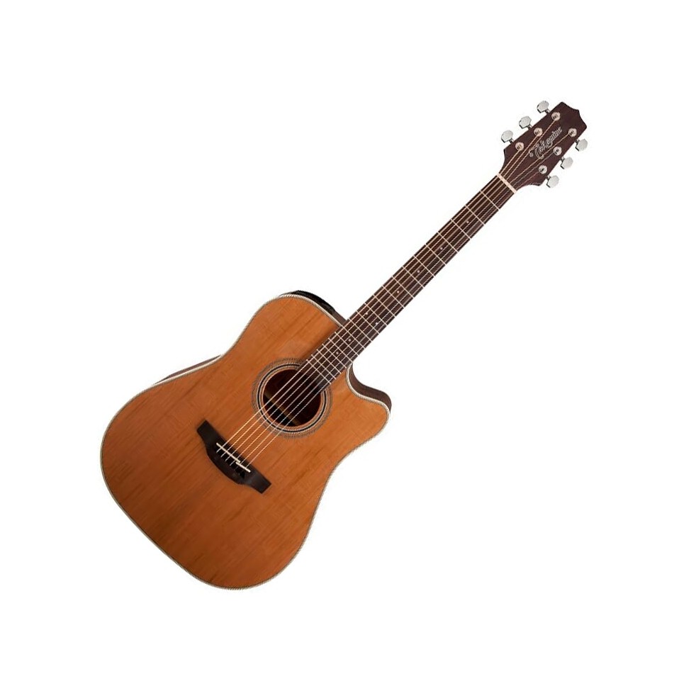 TAKAMINE GD20CE-NS