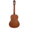 ORTEGA RSTC5M - GITARA KLASYCZNA