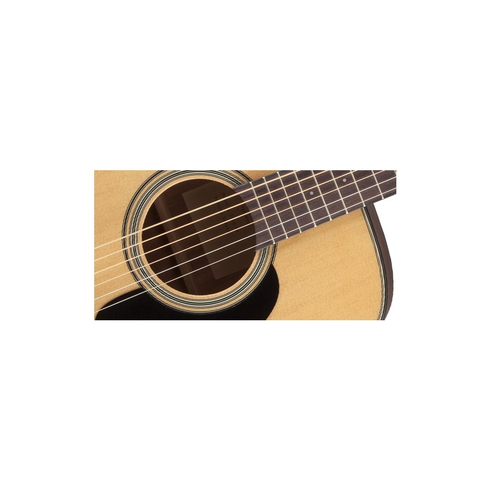 TAKAMINE GD 10-NS