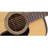 TAKAMINE GD 10-NS