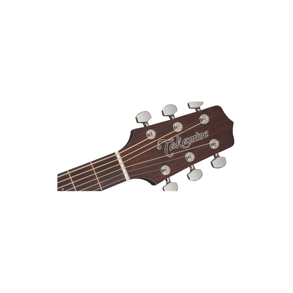 TAKAMINE GD 10-NS