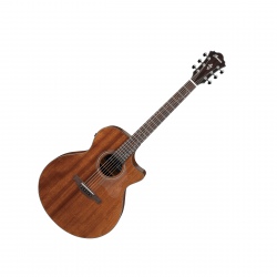 IBANEZ AE295-LGS GITARA...