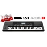 KORG PA300