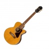 EPIPHONE J-200EC