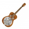 EPIPHONE DOBRO HOUND DOG ROUNDNECK GITARA REZOFONICZNA
