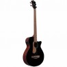 IBANEZ AEGB24E-BKH - BAS AKUSTYCZNY