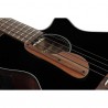 IBANEZ AEGB24E-BKH - BAS AKUSTYCZNY