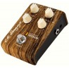 L. R. BAGGS ALIGN SESSION - EFEKT GITAROWY