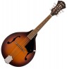 FENDER PM-180E MANDO W/B ACB - MANDOLINA