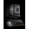 FOCAL ALPHA EVO 65 - MONITOR STUDYJNY
