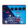 ELECTRO HARMONIX DELUXE MEMORY MAN 1100T