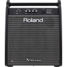 ROLAND PM-200