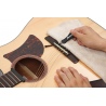 IBANEZ IPP10