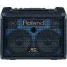 ROLAND KC-110