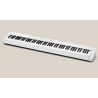 CASIO PX-S1100 WE + STATYW