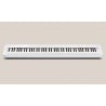CASIO PX-S1100 WE + STATYW