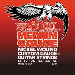 ERNIE BALL 2204 