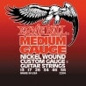ERNIE BALL 2204 