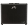 PEAVEY VYPYR X2 - COMBO GITAROWE