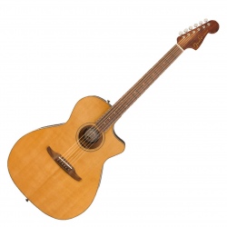 FENDER NEWPORTER CLASSIC...