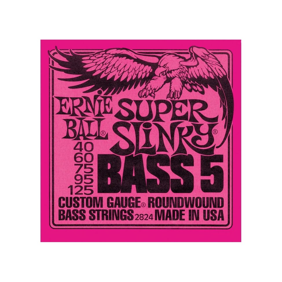 ERNIE BALL 2824