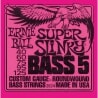 ERNIE BALL 2824