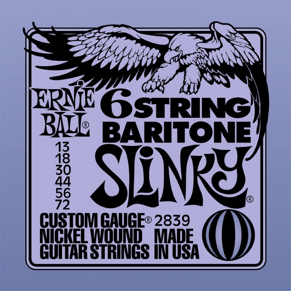 ERNIE BALL 2839
