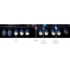 HUGHES & KETTNER TUBEMEISTER DELUXE 20W - HEAD GITAROWY