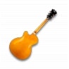 D'ANGELICO EX-175 NAT